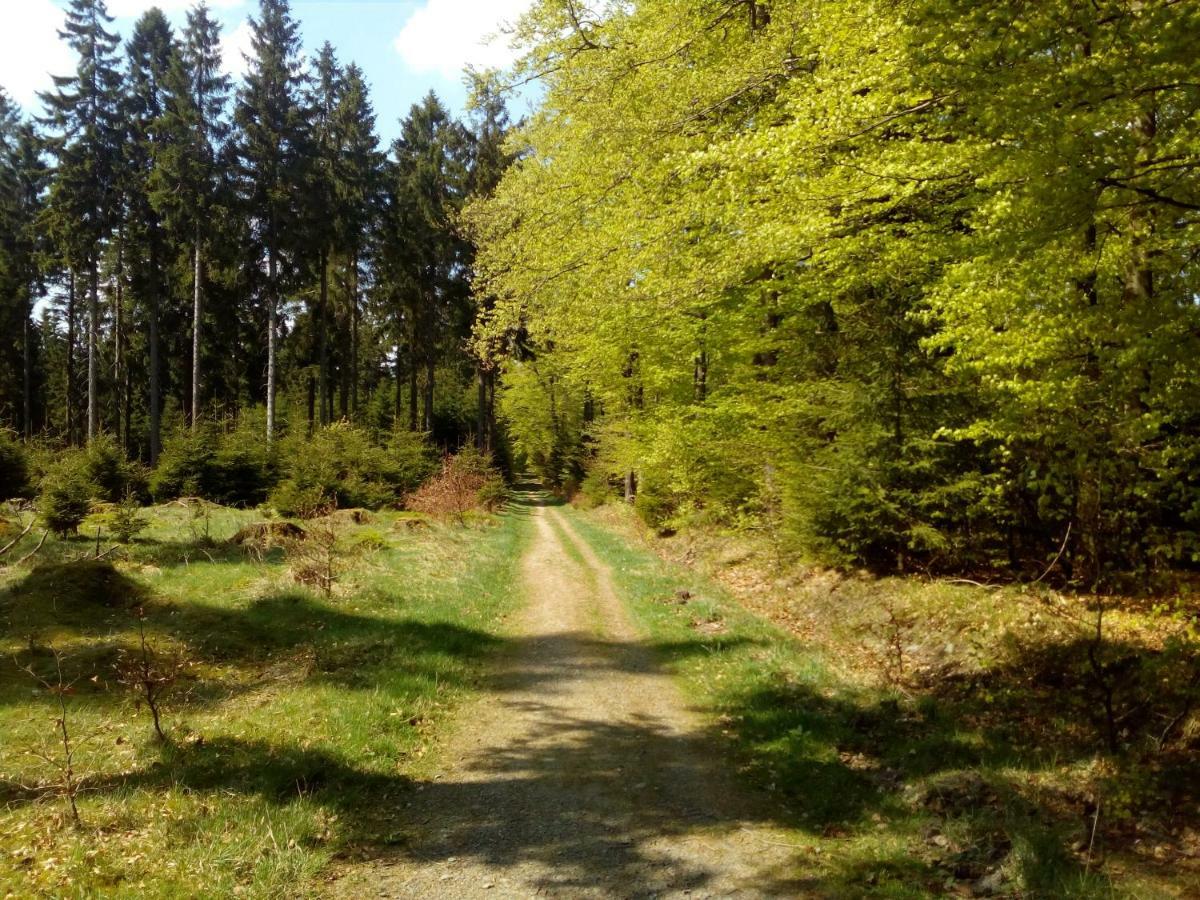 Апартаменти Mia Und Michel Im Sauerland Бад-Берлебурґ Екстер'єр фото