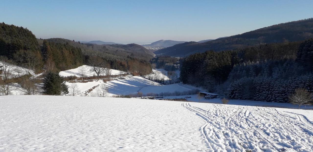 Апартаменти Mia Und Michel Im Sauerland Бад-Берлебурґ Екстер'єр фото
